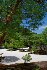 庭園