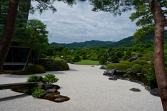 庭園