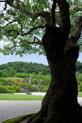 庭園