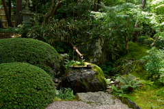 庭園