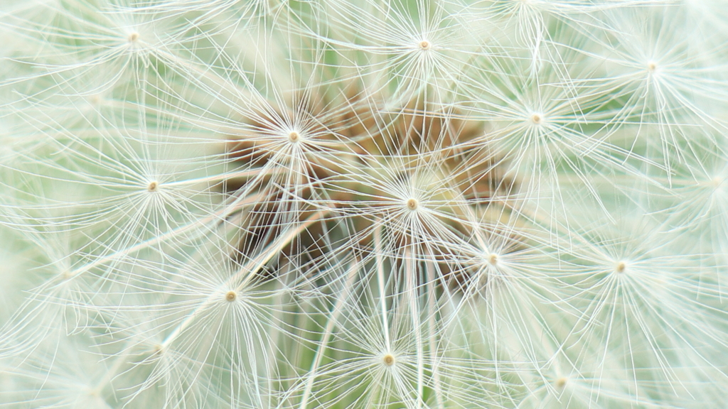 繊細