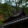錦帯橋側吉香神社 (2)