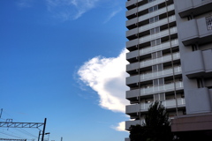 メガロドン現る！！