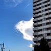 メガロドン現る！！