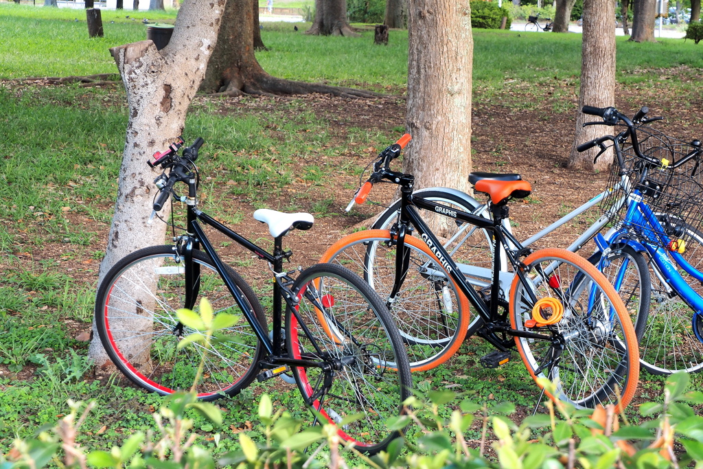 こんな自転車が欲しい