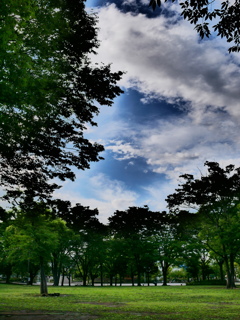 今日の空