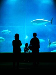 泳ぐお刺身と幸せそうなご家族