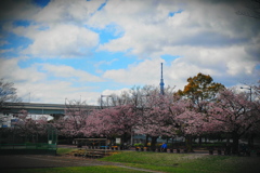 近所の公園散歩