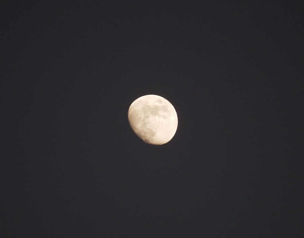 初の天体撮影