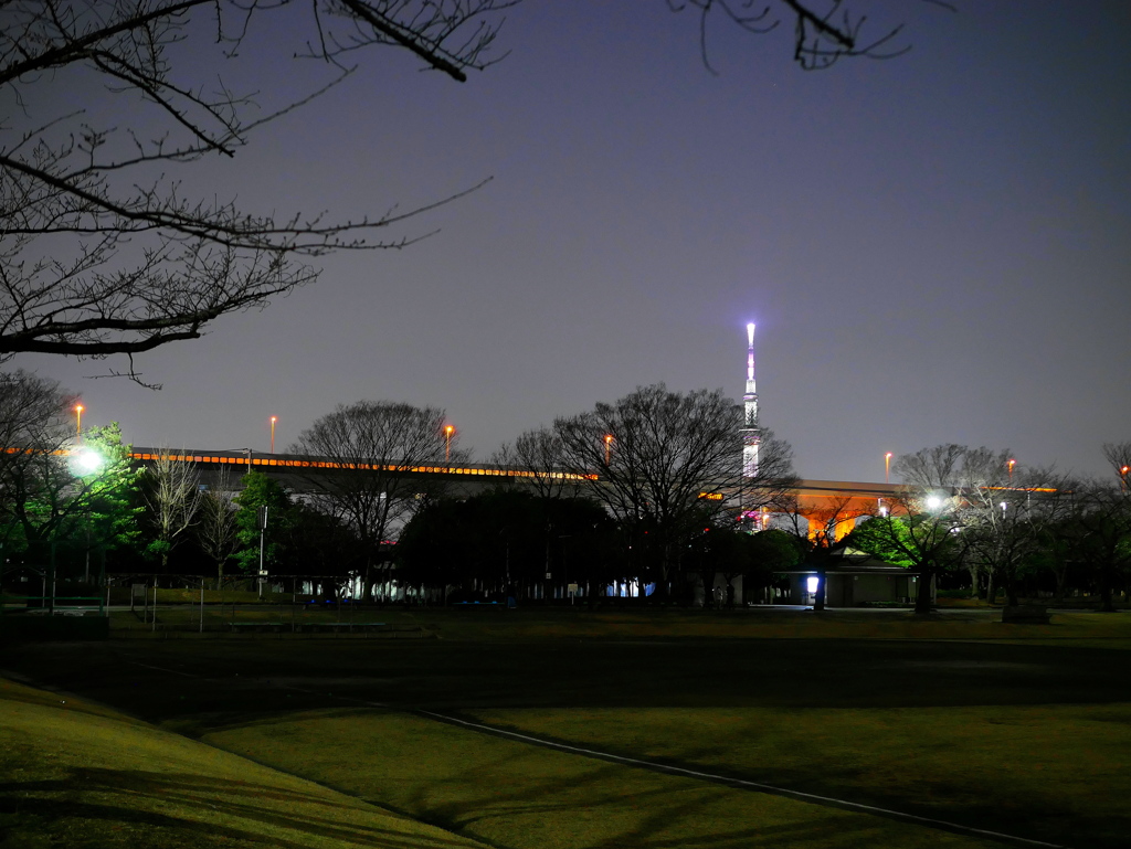 スカイツリー・夜景