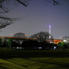 スカイツリー・夜景