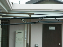 DiMAGE A1試し撮りver.2