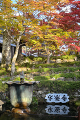 グラデーションと水鏡