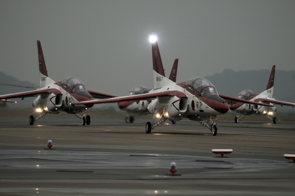 Red Dolphin in rain