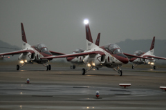 Red Dolphin in rain