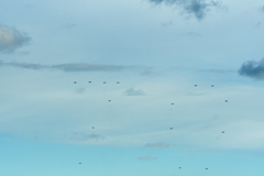 2024 築城基地航空祭