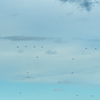 2024 築城基地航空祭