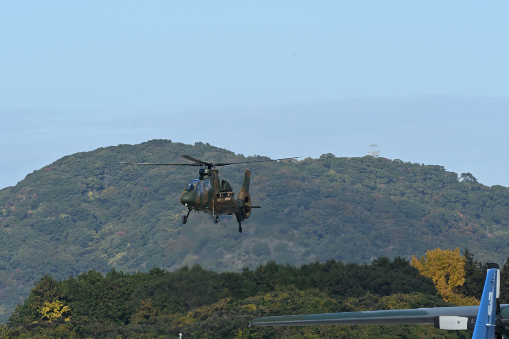 迷彩効果　築城基地　OH-1