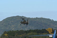 迷彩効果　築城基地　OH-1