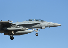 EA-18G   LANDING