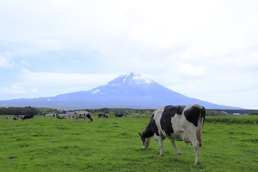 よく牛乳パックに描いてそうな風景