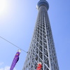 ５がつ