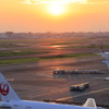 夕日の影