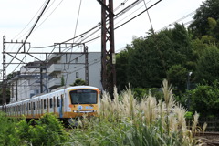 秋のもころん号