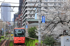 都電荒川線渋滞中