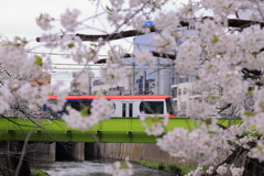 都電荒川線