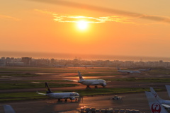 夕日に照らされて