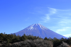 富士山（もちや）