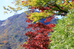 山々の色
