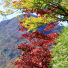 山々の色