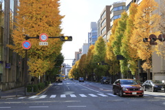 黄色が続く