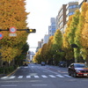 黄色が続く
