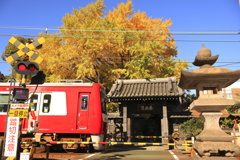 迫る（秋version）
