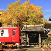 迫る（秋version）