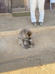 兼子修一のフォトブック