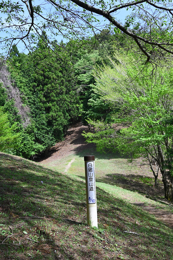 白猪山