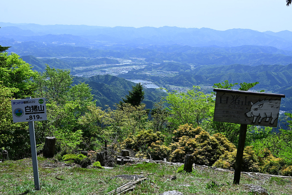白猪山