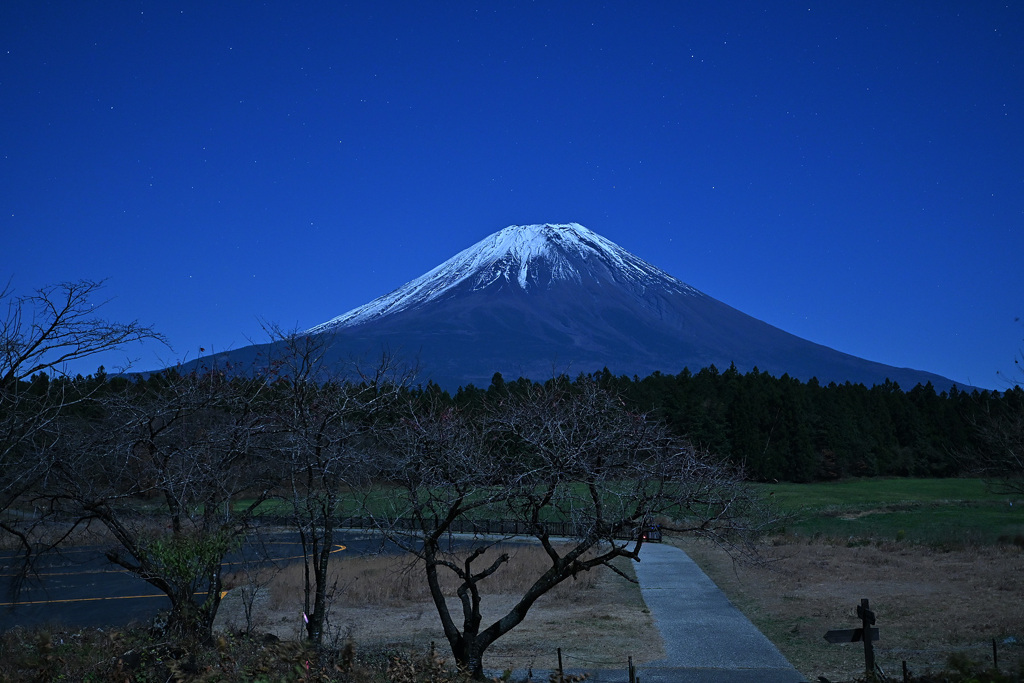 朝霧高原の富士