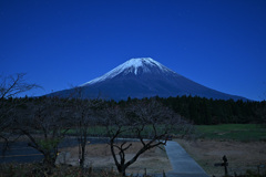 朝霧高原の富士