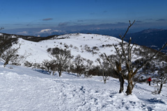 藤原岳