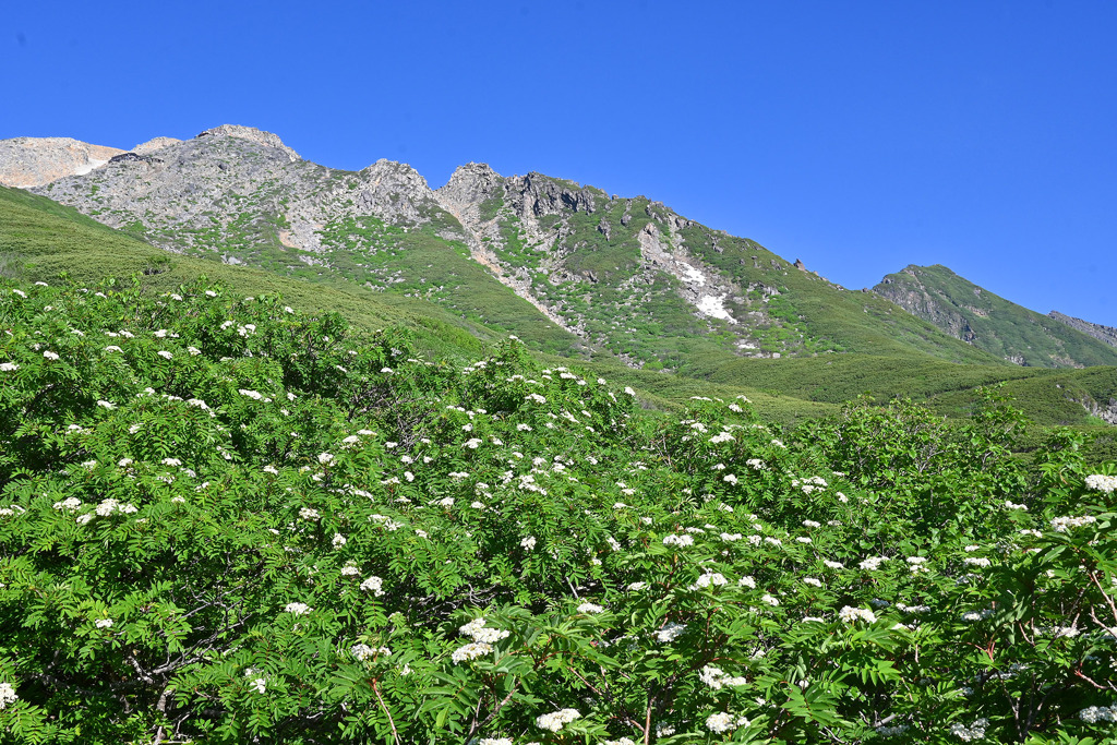 御嶽山