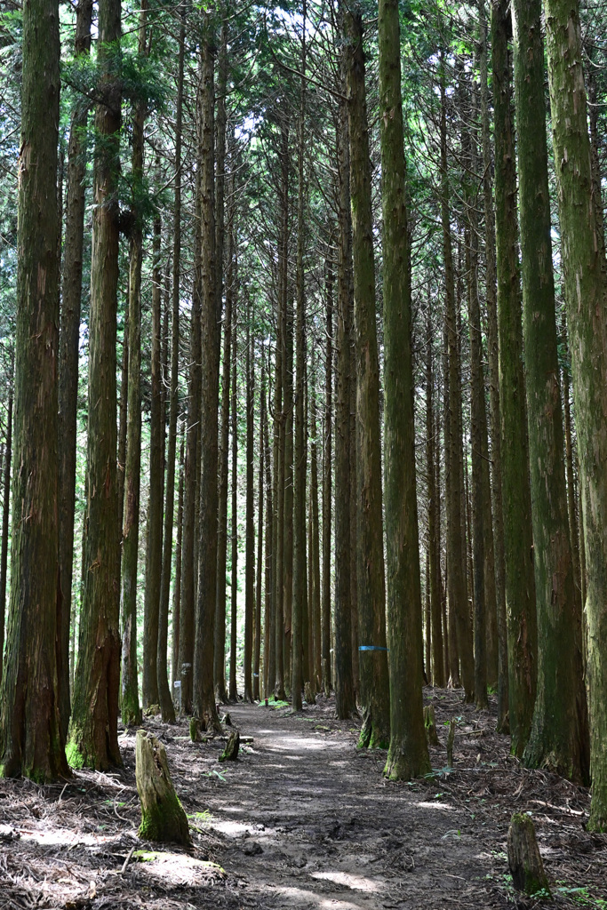経ヶ峰