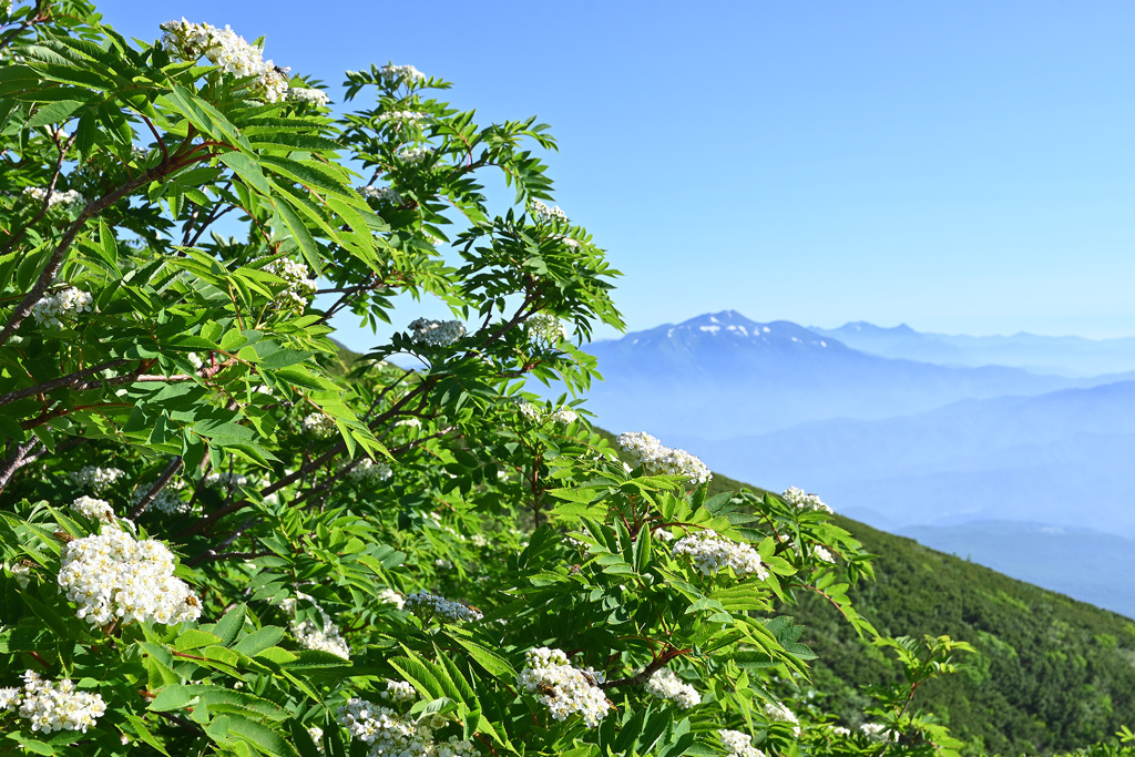 御嶽山