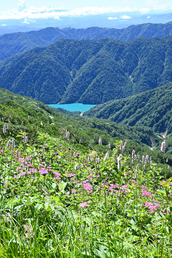 白山