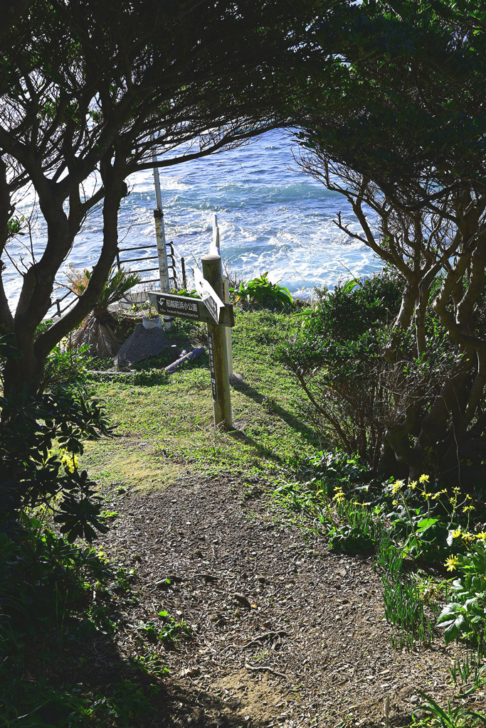 麦崎灯台