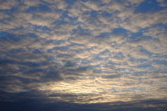 夕焼け前の鱗雲
